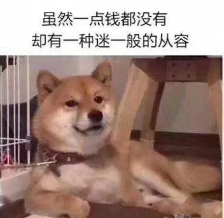 迷之自信