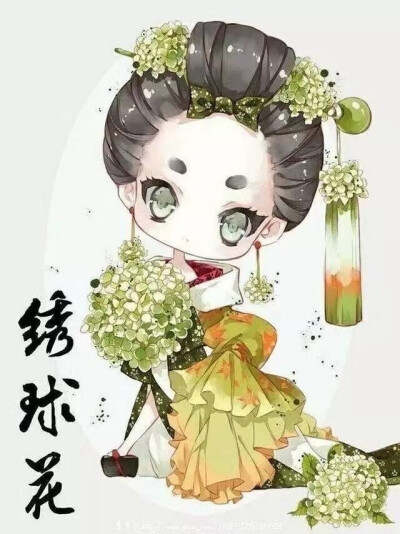 『今日份快乐』-花图ˇ迎春ˉ蜀葵ˉ樱花ˉ和果子「木槿」ˉ失車菊ˉ桔梗ˉ绣球ˉ牡丹（日本）