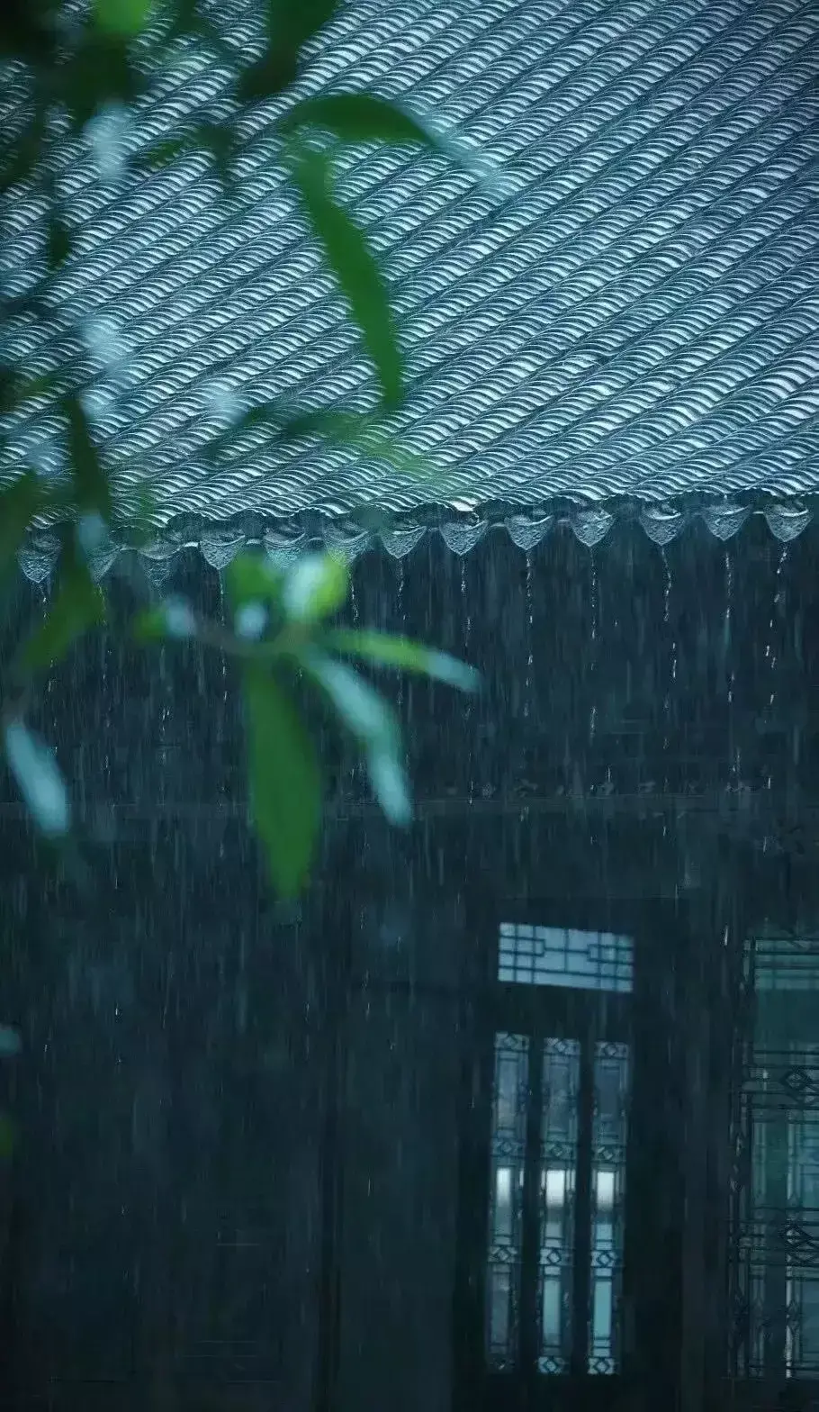 雨中江南