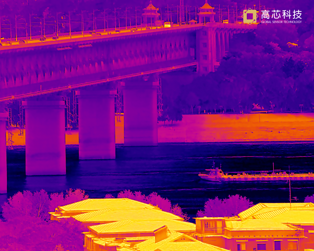 动物 红外 热成像 斑马 鹤 建筑 车辆 龟山电视塔 龟山 伪彩 黄鹤楼 晴川桥 汉阳 长江大桥