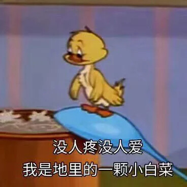 没人疼，没人爱，我是地里的一颗小白菜