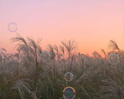 ios小组件，粉色