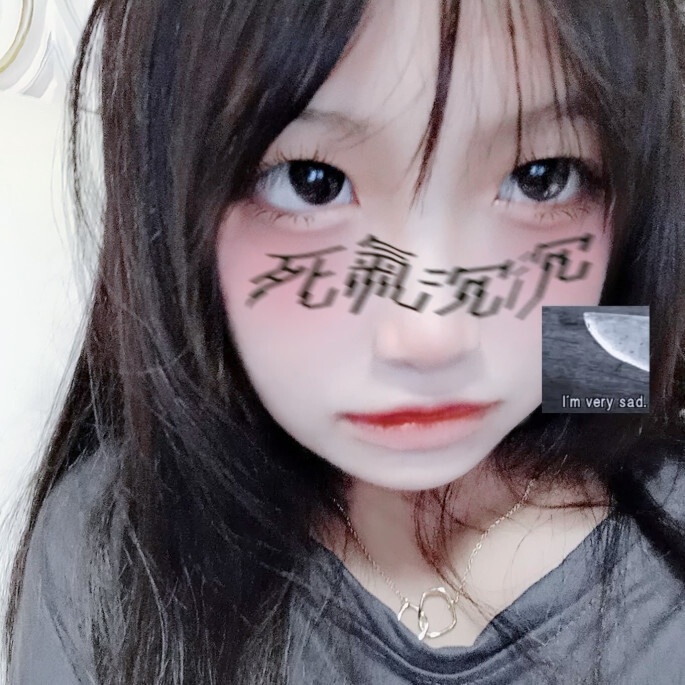 布偶黑所曲