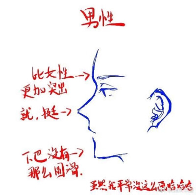 绘画教程