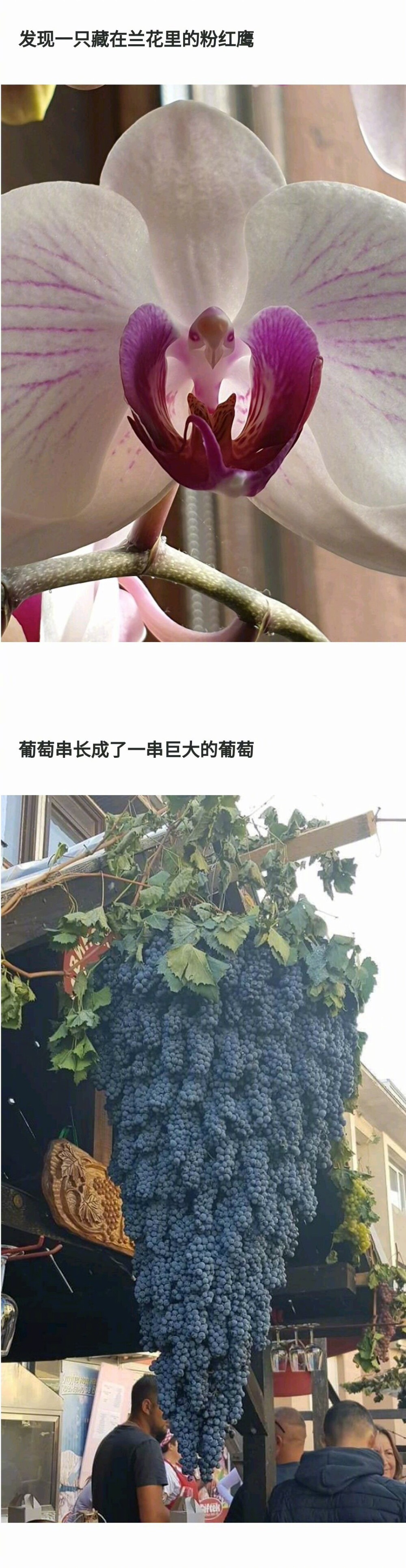 大自然吖～