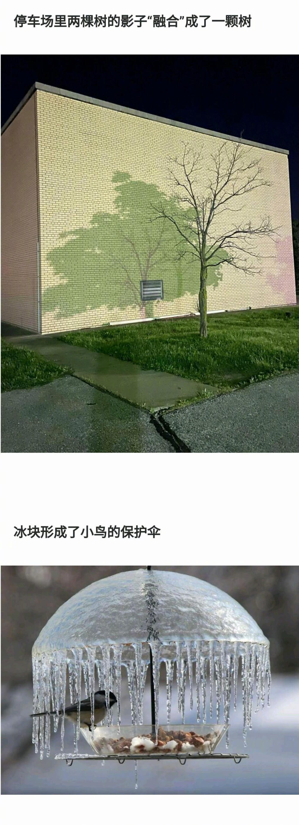 大自然吖～