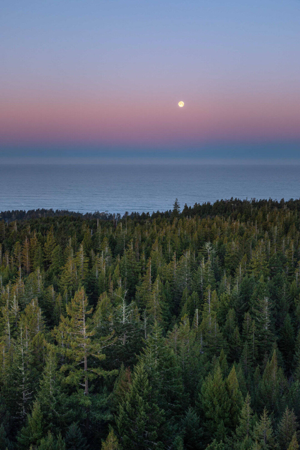 加州北部小城雷丁
Photo by Patrick Mueller 