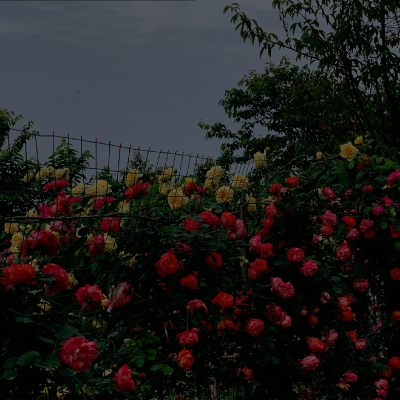 ¨̮ ᴴᴬᵛᴱ ᴬ ᴳᴼᴼᴰ ᵀᴵᴹᴱ
这组从一些博主那里裁剪的 还没修过 可以二改
દ ᵕ̈ ૩ ☁️