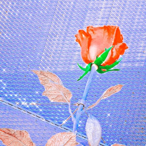 
@只要在你身边
I can't miss you without me

图源bemybrownie91
          林燃
