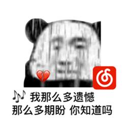 网易云表情包