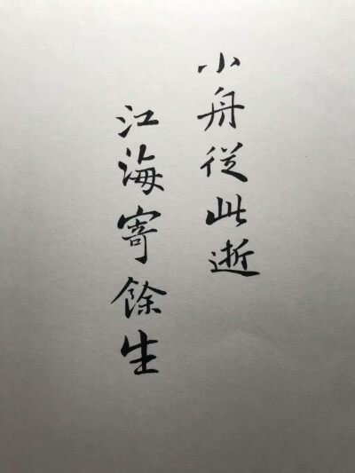 水哥的字