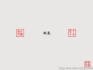 【银鼠色】——红楼梦色彩之一。也是中国传统颜色。“银”之色是高调的亮白，象征着高贵、雅洁。如“银鼠”，又名白鼠，其色洁白，皮可御寒，极贵重。在古代，银鼠皮是宫廷朝贡的御用品，很受上流社会所崇尚，故其色彩也理应充满“富贵气”。银鼠色即是银鼠冬天时的白色。