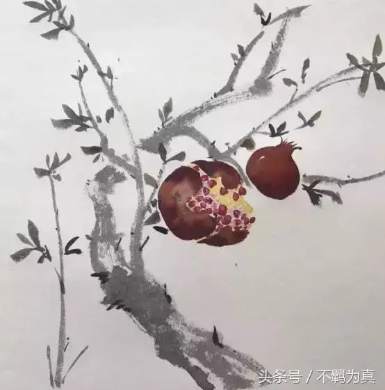 石榴 水墨