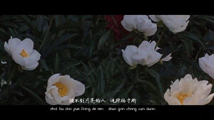 分享歌词图  薛之谦
