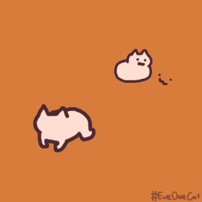 Rainbowed cat 彩虹猫gif魔性表情包 沙雕斗图 图源日本的推特博主Everyday One Cat鬼畜猫GIF