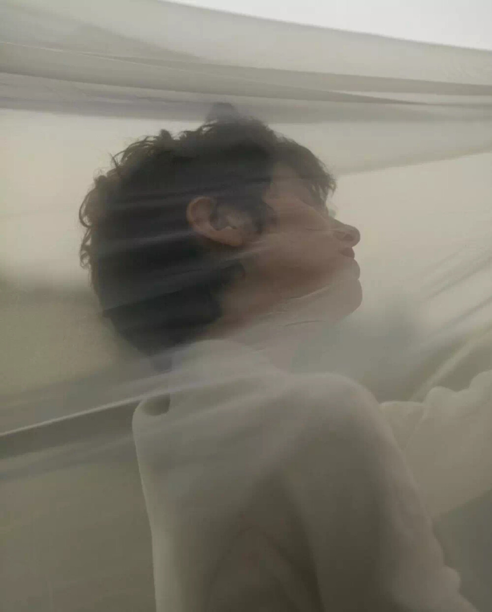 By Anastasia Lisitsyna