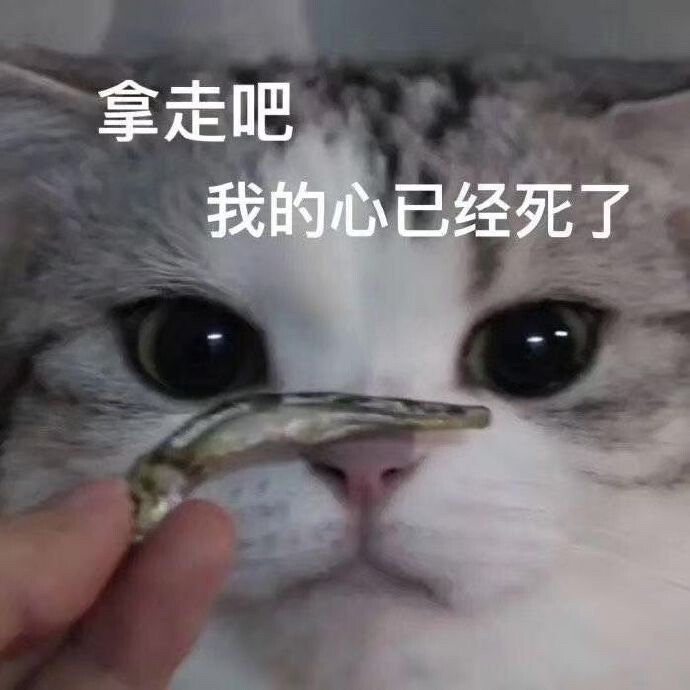 猫猫表情包 拿走吧 我的心已经死了 小鱼干… - 堆糖，美图壁纸兴趣社区