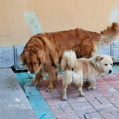 日常