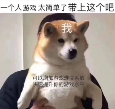 小狗表情包