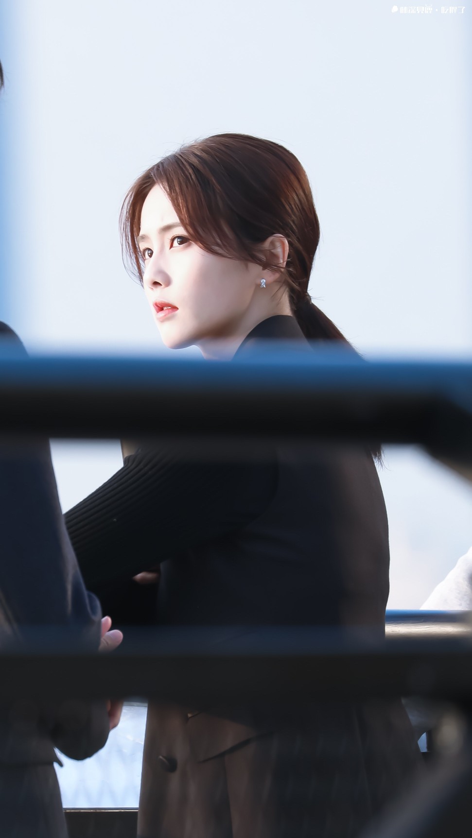 半是蜜糖半是伤江君白鹿