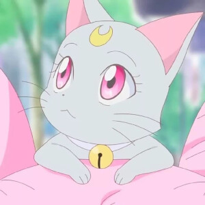 美少女战士里的萌宠头像  小灰猫戴安娜 
黑猫露娜和白猫亚提米斯的女儿