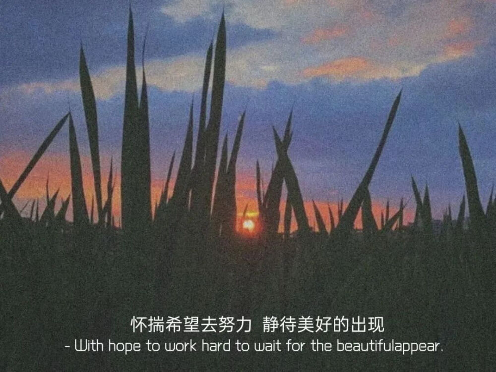 惟愿不负时光不负卿
侵权删 @倾城-图社