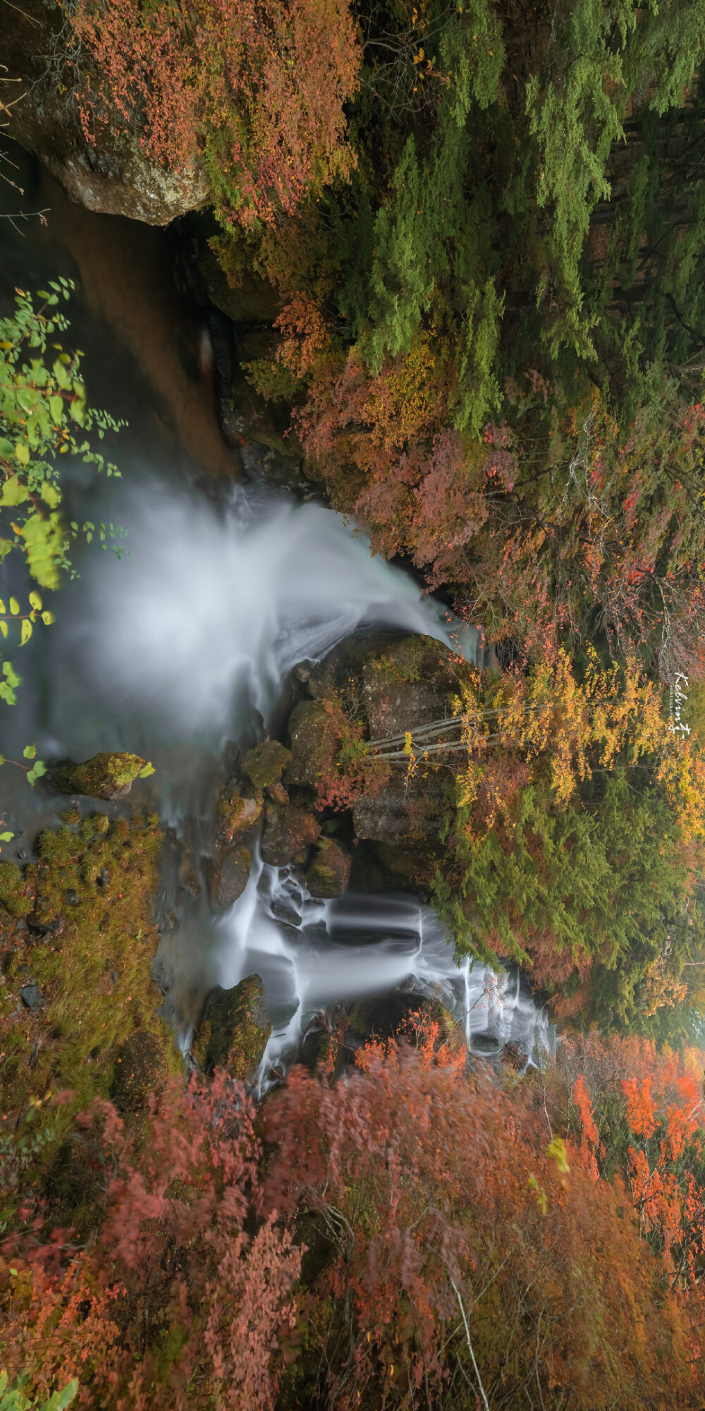 “ 人间忽晚，山河已秋 ”
? @kelvin李 ???