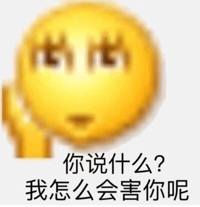 表情包