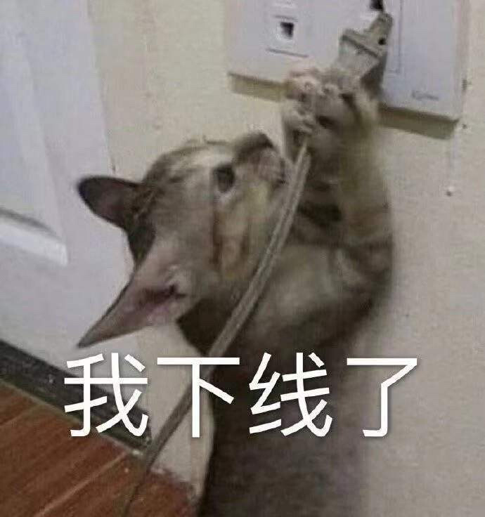 猫猫表情包 我下线了 （拔网线）