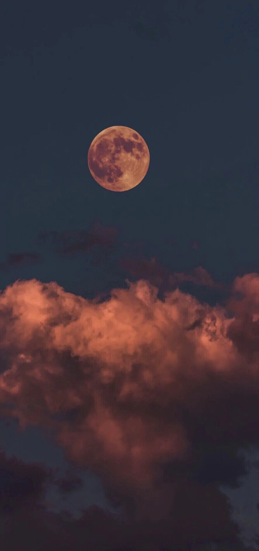 壁纸 ins 唯美 高级