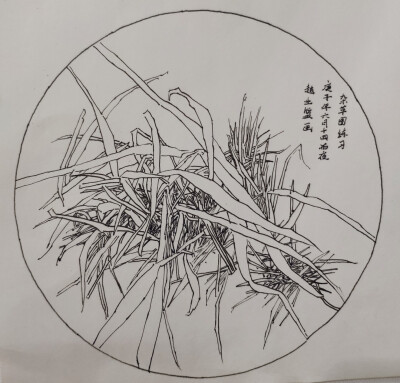 线描练习。