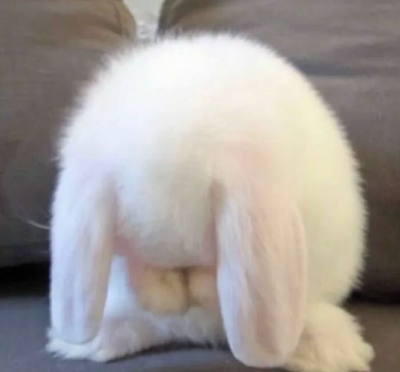 可爱壁纸和头像