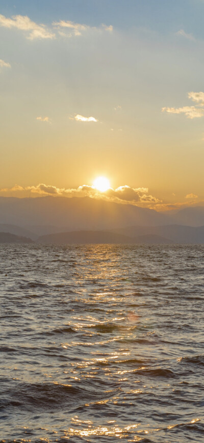 海
闻鲸落，我去寻。