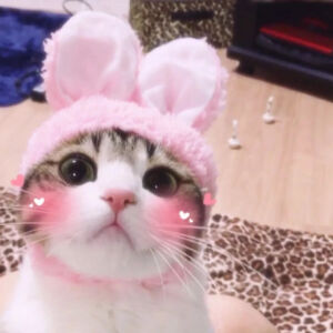 头像