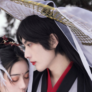 可叹这惊鸿一瞥 误入眉眼欢喜多年