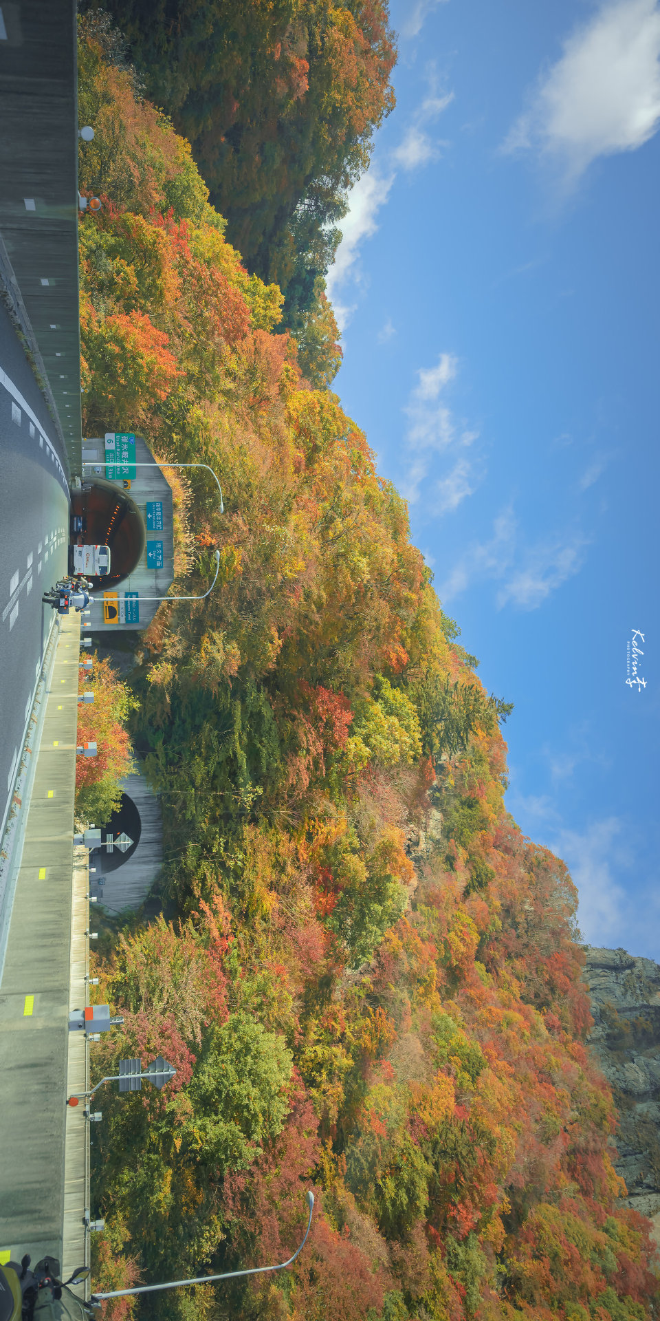 夏天的未完待续就留给秋天完成吧
©：kelvin李