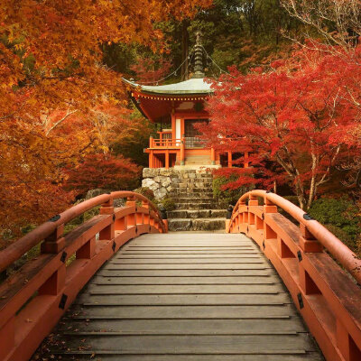 日本醍醐寺