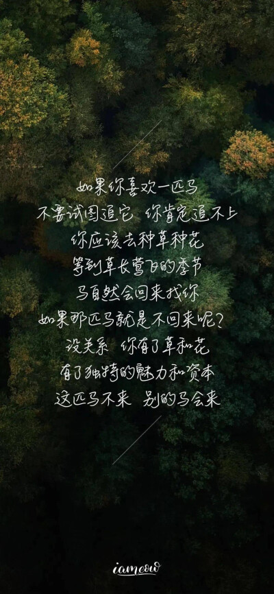 文字控 治愈 壁纸文艺背景图