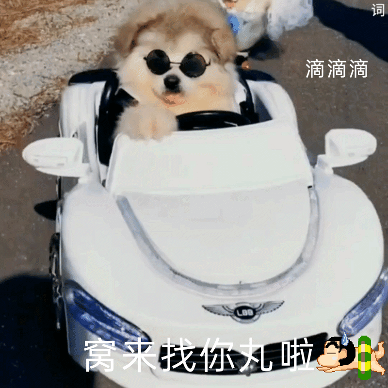 林乐词二传注明