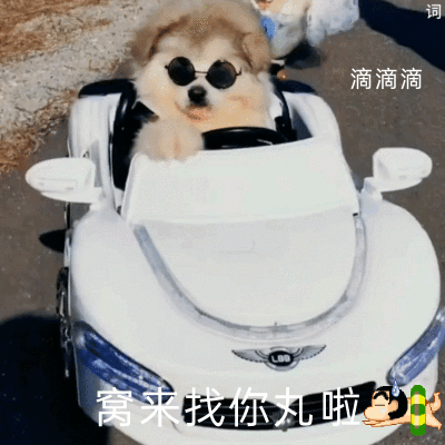 林乐词二传注明