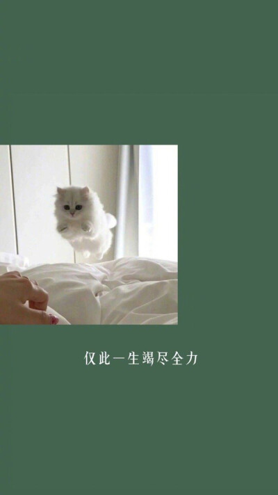 励志文字壁纸