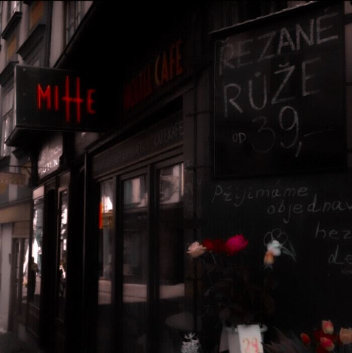 
Cuối cùng chim mệt mỏi về đậu , tôi chỉ có thể cam chịu số phận.
