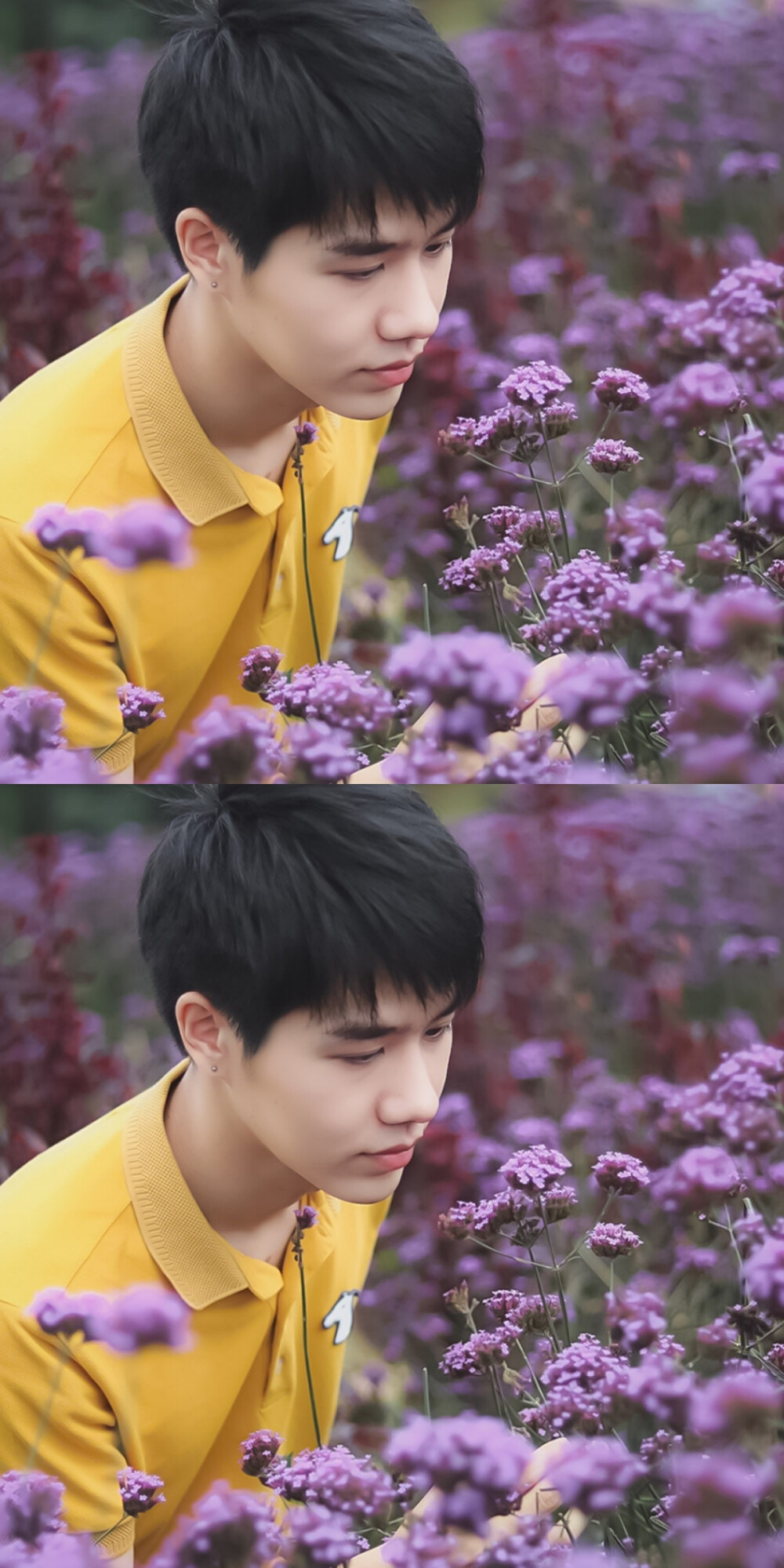 蓝宝petch 你是我的氧气 我又拥有快乐啦!哈哈哈哈哈哈哈哈哈哈哈!