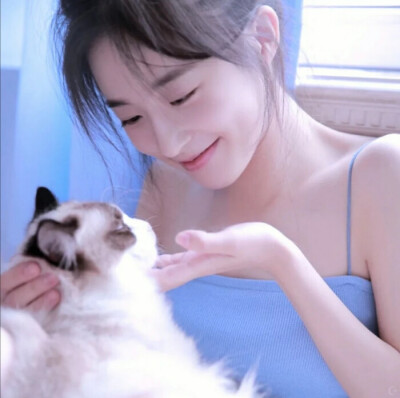 纯