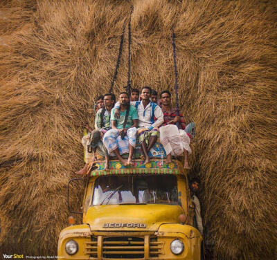 稻草车
摄于孟加拉博格拉（Bogra）。 Photograph by Abdul Momin