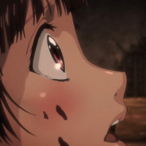 十四州/自截自调二传注明
番名《甲铁城的卡巴内瑞》