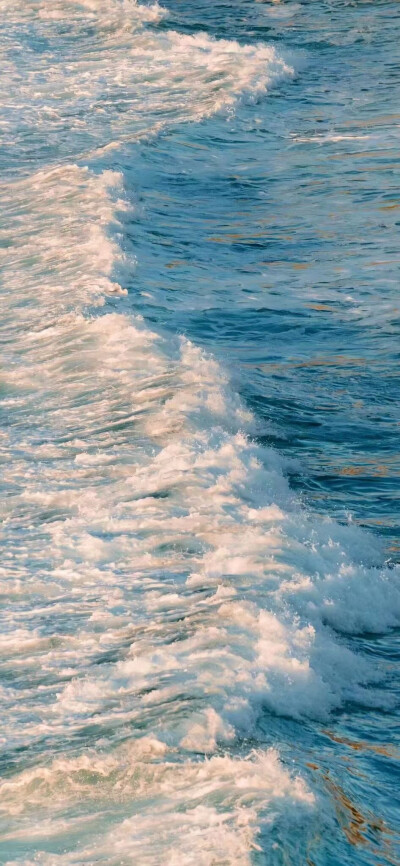 来日方长 说不定最后还是我们