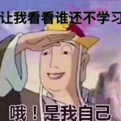 沙雕头