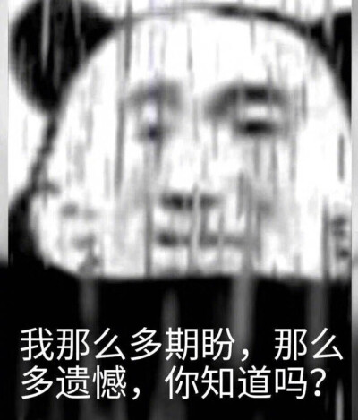 熊猫头表情包 我那么多遗憾 那么多期盼 你知道吗？