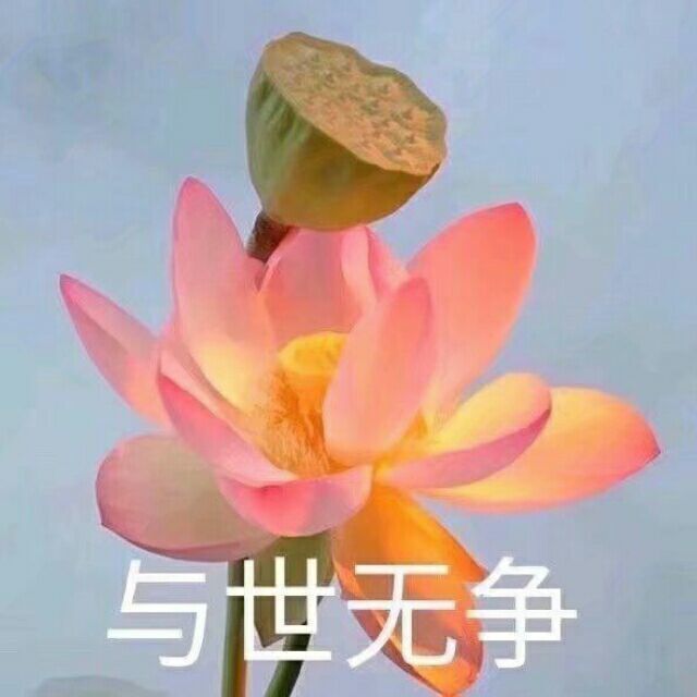 闺头四人